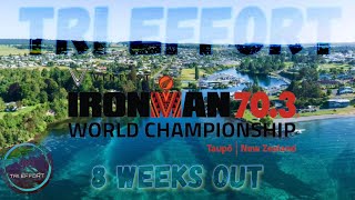 New Zealand Ironman 703 WC 🇳🇿  Training Vlog  8 Weeks Out  TRI EFFORT 🥝 [upl. by Airtemad]