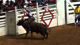 LO MEJOR DEL RODEO AMERICANO EN FORT WORTH TEXAS 2015 [upl. by Selemas]