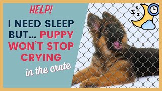 Crate Training a Puppy At Night Who Won’t Stop Crying [upl. by Wolram]