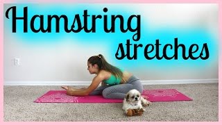 Hamstring stretch Best Hamstring Stretch Ever [upl. by Fryd516]