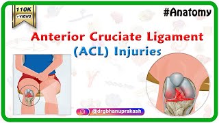 Anterior Cruciate Ligament ACL Injuries [upl. by Caron]