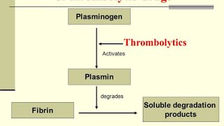 ThrombolyticsFibrinolytics DrugsStreptokinaseurokinaseAlteplaseReteplaseEACATranexamic acid [upl. by Shererd505]