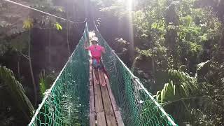 ziplining in belize cavetubingbz [upl. by Ray997]