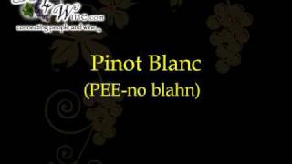 Wine Pronunciation wwwRegister4Winecom [upl. by Sihunn794]