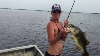 Airboat Bass Fishing w Marsh Ranger amp Kimberleysadventures [upl. by Wilfrid648]