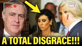 Trump Lawyer HITS NEW LOW During Her Closing Argument [upl. by Prader]