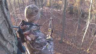 New York Bow Hunting Big Buck The Goat [upl. by Billie]