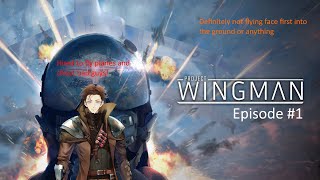 Project Wingman Flying planes and fighting wars [upl. by Enitsirhk]