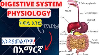 DIGESTIVE SYSTEM PHYSIOLOOGY PART 1 IN AMHARICGI PHYSIOLOGY MADE EASY [upl. by Zenda466]