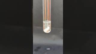 Sodium Metal vs Ethanol 🔥carbon experiment [upl. by Avla]