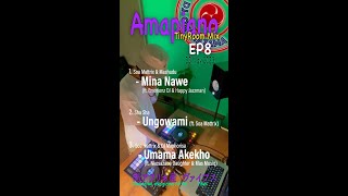 Amapiano Tiny Room 10min Mix EP8  Mina Nawe  Ungowami  Umama Akekho [upl. by Groeg223]