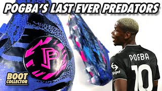 Pogba adidas Predator Accuracy 2023 Boots  Football Boots Collection [upl. by Allain387]