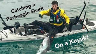 Catching a Porbeagle Shark from a Kayak [upl. by Enalda477]