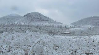 Frozen cars destroyed China in rush Snowstorm causes chaos in Shaanxi [upl. by Tcideneb]