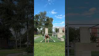 SPLIT is so EASY😱🔥 gymnast howto flexible easy shorts tutorial easytutorial split [upl. by Onnem]