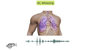 Abnormal lung sounds in COPD [upl. by Brittne]