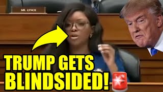 Democrat HIJACKS MAGA House Hearing to EXPOSE Trump’s SECRETS [upl. by Aihsikal]