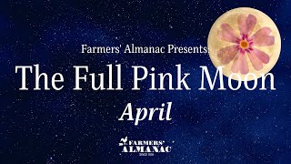 Aprils Full Pink Moon [upl. by Ahsrat975]