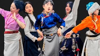 NEW TIBETAN DANCE PERFORMANCE TIBETAN CULTURE DANCETIBETAN CIRCLE DANCE [upl. by Nirrek692]