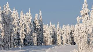 Ljungåsen Grängesberg [upl. by Ahseat]