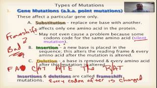 Chapter 13 Part 6  Gene Mutations [upl. by Hazaki]