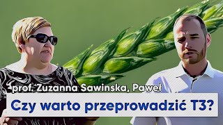 Ochrona T3 w zbożach Czy warto chronić zboża w tym sezonie W polu susza epole 98 rolnictwo [upl. by Gnehc]