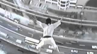 Segata Sanshiro Final Spot [upl. by Ettelrahc530]