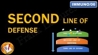 Innate immunity Second line of Defense An Overview FLImmuno06 [upl. by Sol3]