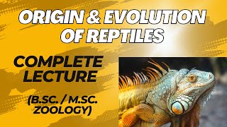 ORIGIN AND EVOLUTION OF REPTILES I Explanation  MSc  BSc Zoology [upl. by Evanne118]