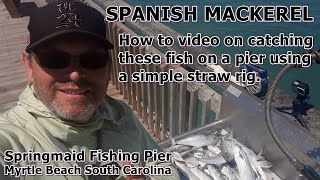 How to Catch Spanish Mackerel off of a Pier using a simple straw rig Springmaid Pier Myrtle Beach [upl. by Ettevey727]