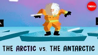 The Arctic vs the Antarctic  Camille Seaman [upl. by Obmar64]