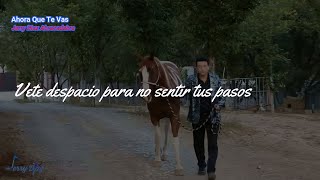 Ahora Que Te Vas  Jerry Diaz Abracadabra LETRA  LYRICS [upl. by Lentha]