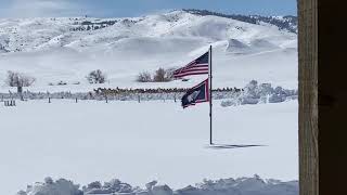 Massive Herd of Antelope On The Move Outside of Glenrock Wyoming [upl. by Amaso]