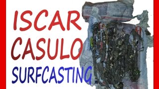 ISCAR CASULO UM EXCELENTE ISCO PARA SURFCASTING PESCA DE PRAIA [upl. by Caldera]