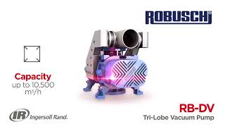 RBDV Rotary Lobe Vacuum Pumps Unleashing Versatile Power for Liquid and Dry Waste  Robuschi [upl. by Fariss246]