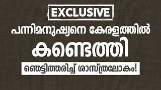 പന്നിമനുഷ്യനെ കേരളത്തിൽ കണ്ടെത്തി ഞെട്ടിത്തരിച്ച് ശാസ്ത്രലോകം│ANIL KODITHOTTAM│©IBT MEDIA [upl. by Sylera]