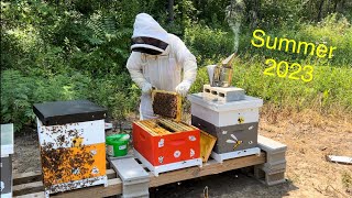 Pulling Honey Supers and Treating Mites [upl. by Ycrep]