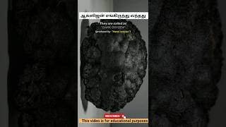 ஆக்ஸிஜன் எங்கிருந்து வந்தது  oxygen  Science Facts  Tamilgeopoliticsarul facts shorts oxygen [upl. by Natye]