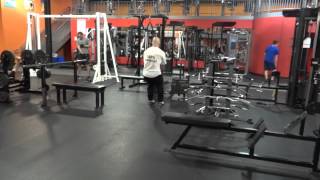 Kurt Weidner Prowler 18 plates push pull at end of 2 hr Legs and Back workoutm2ts [upl. by Silloh]