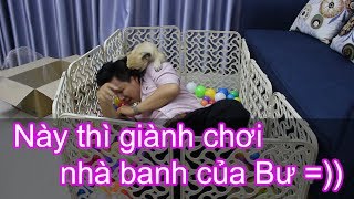 ⚽Làm nhà banh cho chó Pug chơi thấy đẹp quá chủ giành chơi luôn và  😹 Bư mặt shit  Pugk vlog [upl. by Raymund]