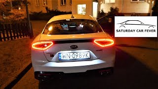 KIA Stinger 20 TGDI  Największa WADA amp Nocny TEST PL [upl. by Chiang]