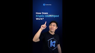 How Does Crypto Launchpad Work [upl. by Nikaniki495]