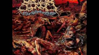 Top 3 Brutal Death Metal Bands [upl. by Naziaf393]