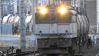 雪の付いた貨物列車が通過する真冬の早朝ターミナル駅 大宮駅 [upl. by Johnston]