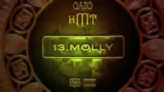 GAZO MOLLY Visualizer [upl. by Finnie828]