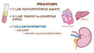 Thiazide and Thiazide like Diuretics  Renal pharmacology  Osmosis [upl. by Eneleoj]