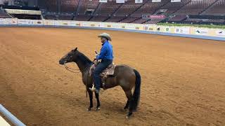 Nutrena Ride the Pattern Clinic Ranch Riding [upl. by Klusek]