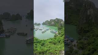 Halong bay halongbaytours travel vietnam halongbaycruise [upl. by Mallory]