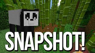 Der neue Minecraft Snapshot ist echt Mega 😍 [upl. by Carmita16]