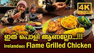 WE TASTED FLAMEGRILLED CHICKEN IN A SMOKEY CHURRASCO FLAVOUR  IRELAND  Vlog 510 [upl. by Cirad]